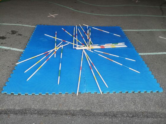 MIKADO-GEANT-scaled-e1769189375594